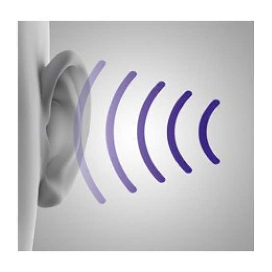 Aspirador Dyson DC33C Allergy