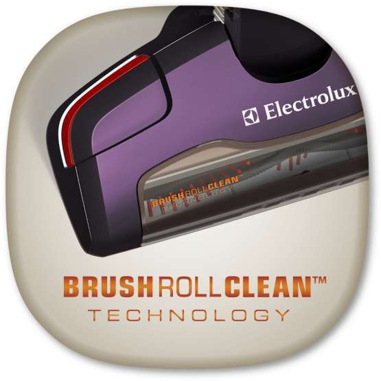 Aspirador escoba Electrolux ZB2932