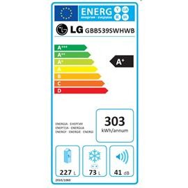 Combi Lg GBB539NSHWB