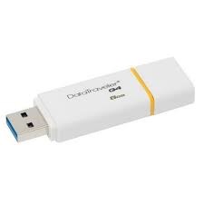 Kingston USB 8GB Memoria DataTraveler G4
