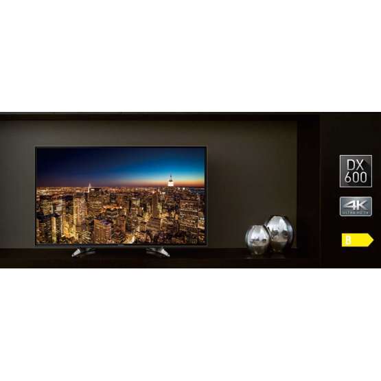49" TV LED PANASONIC TX49DX600E