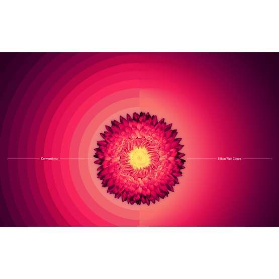 65" TV 3D LED LG 65UH850V