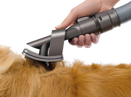 Cepillo para mascotas Dyson | Accesorio aspirador dyson para perros |  Comprar | Tienda on line dyson groom tool | Electrodomesta