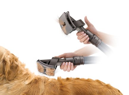 Cepillo para mascotas Dyson | Accesorio aspirador dyson para perros |  Comprar | Tienda on line dyson groom tool | Electrodomesta